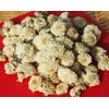 Made in Taiwan, Organically Cultivated, Chrysanthemum, White (White Chrysanthemum), 31