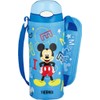 Thermos FHL-401FDS BLS Vacuum Insulated Straw Bottle, 13.5 fl oz