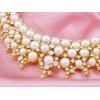 Alilang Faux Pearl Collar Necklace Elegant Golden Tone Clear Crystal