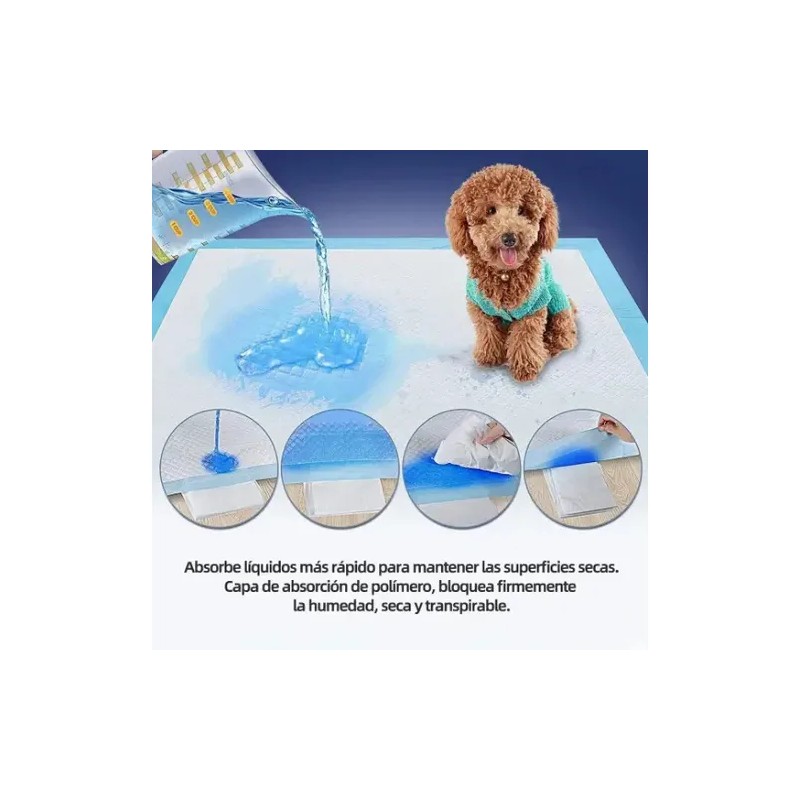 40 Piezas 60*60cm Tapete Entrenador Perro Azul