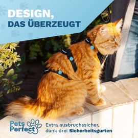 PETS PERFECT Cat Harness Set with Lead, Cat Harness with Lead, Escape Proof, Extra Safe & Adjustable Cat Harness for Walks, Size XS, Black