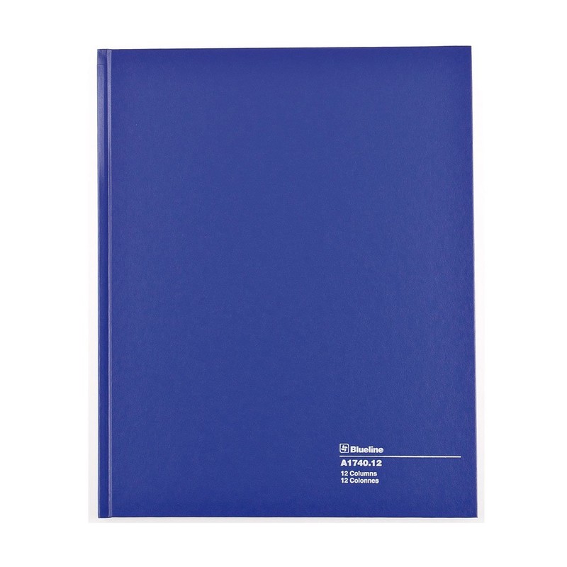 Blueline Columnar Book, Perfect Binding, 12 Columns with Description, 80