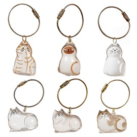 laveroar 6-Pack Cat Memorial Keepsake Keychains – Transparent Capsules for Lock of Hair – Cute Cat Memorial Gifts for Pet Lovers, Bags & Keys
