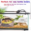 Turtle Brush with Suction Cup,Turtle Tank Decor,Screw The Upgraded Turtle