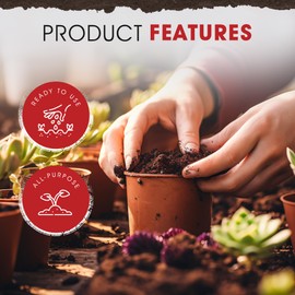 Michigan Peat Garden Magic Potting Soil with Perlite for Lawns, Gardens, and Raised Planting Beds with Reed Sedge, Peat, and Sand, 40 Pounds (6 Pack)