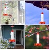 Hummingbird Feeder with Ant Moat - Clear Wild Bird Feeders