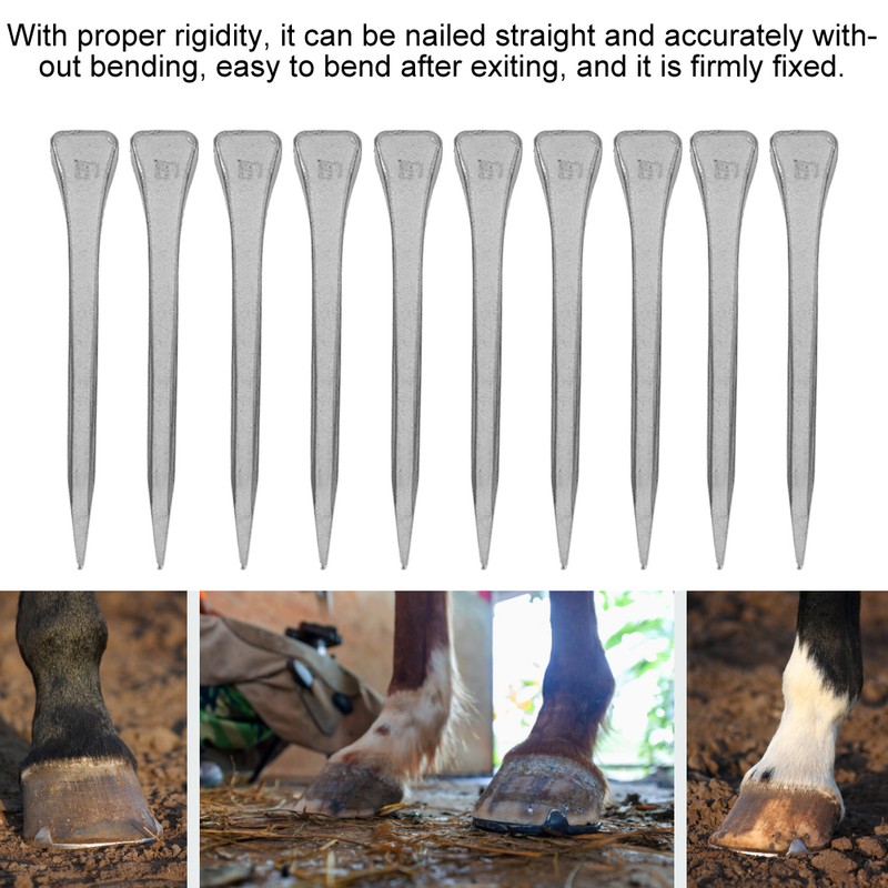 250Pcs High Quality Steel Horseshoe Nails E5 Accessory Horse Supply