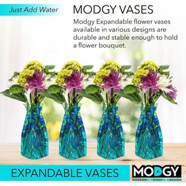 MODGY Expandable Flower Vase, Plastic Decorative Modern Foldable Printed Vases for Centerpieces for Wedding, Dining Table, Home Decor, Living Room, Bathroom, Irises, Vincent van Gogh, 4 Pack