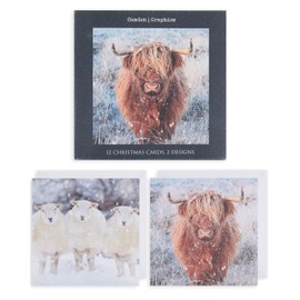 UK Greetings Multipack of 12 Christmas Cards for Him/Her/Friend - 2 Animal Designs