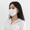 Famous MB Filter Dental Mask Disposable 250 sheets (50 sheets