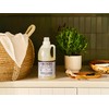 MRS. MEYER'S CLEAN DAY Liquid Laundry Detergent, Biodegradable Formula Infused