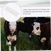 3 Pcs Pregnant Tester Horse Pregnancy Test Strip Livestock Pregnant