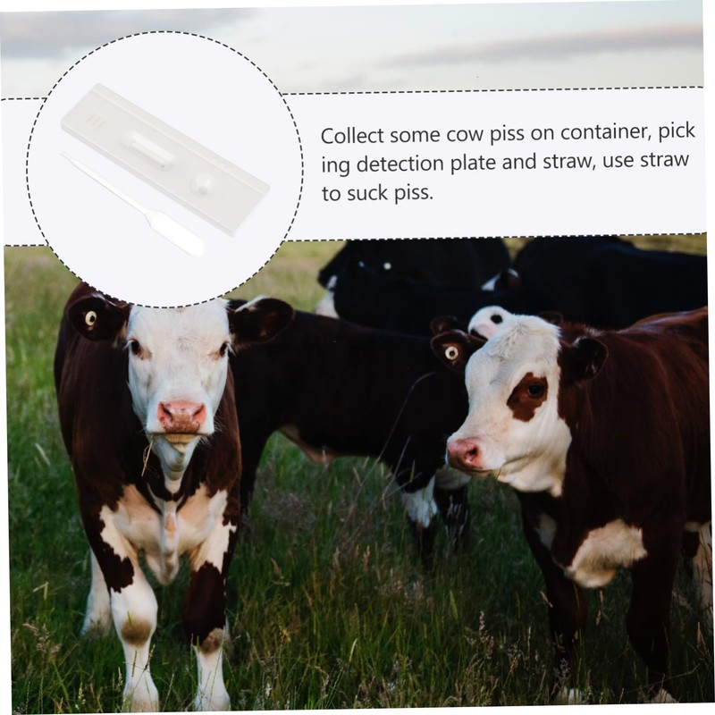 3 Pcs Pregnant Tester Horse Pregnancy Test Strip Livestock Pregnant