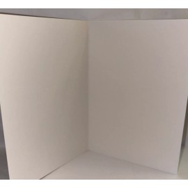 Have Fun At Christmas 3.5 X 5” Unused VINTAGE STYLE Greeting Card Cat Kitten