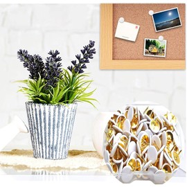 100 Pcs White Drawing Pins, Round Head Thumbtacks, Metal Push Pins with Storage Box for Pinboard, Bulletin Board, Office, Home