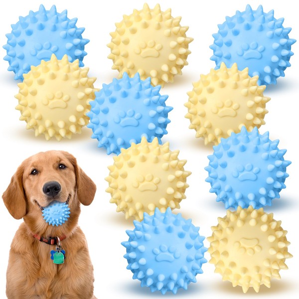 Suilung 10 Pack 2.5" Floating Dog Ball Water Fetch Toy