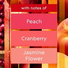 Glade Gel Air Freshener, 2 Count Refills, Juicy Peach & Berry, 0.56 oz