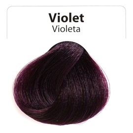 L Lorenzo Color Definer Cellophane 8.11fl.oz/240ml | Peroxide & Ammonia Free | Glossy hair Brilliant color without Damaged Hair | Stain Remover Inside (Violet, 240ml / 8.11Fl.Oz)