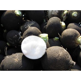 CEMEHA SEEDS - Black Radish Non GMO Vegetable for Planting