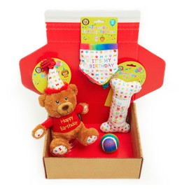 Dog Birthday Gift Box 4-Piece Hamper Present set, Perfect Dogs Happy Bday Celebration, includes Toys and Bandana (Small)