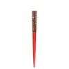 Issho 38822 Takumi Wakasa Lacquer Chopsticks Made in Japan Ryugu