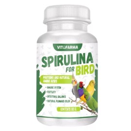 VITOFARMA Spirulina Powder For Birds, Grown In Usa High Protein By Vitofarma Supplement