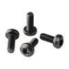 Black Stainless License Plate Screws Compatible with Toyota, Lexus, Honda