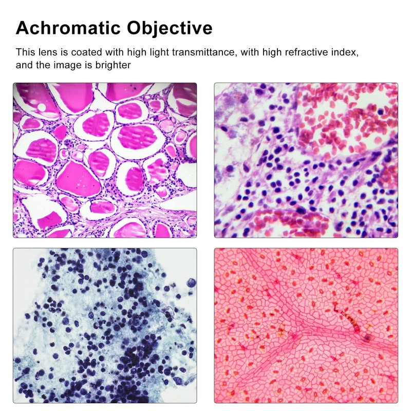 Achromatic Objective, 60X Achromatic Microscope Objective Lens High Magnification 20.2mm