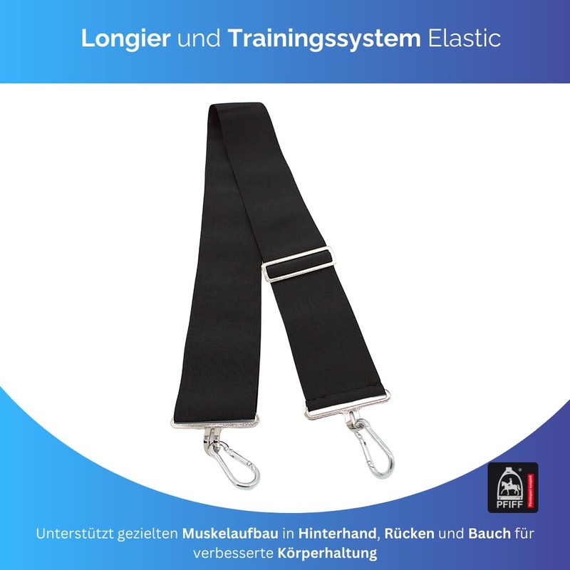 PFIFF 103117 Lungier and Training System Elastic, Training Band for