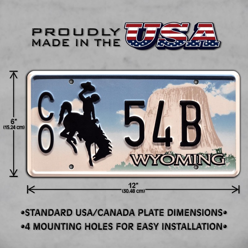 Celebrity Machines | Longmire | CO 54B | Vanity Plate,