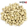 모링가씨앗 500g(250gX2개) 모링가 속씨앗 Moringa Seeds 500g (250g X 2)