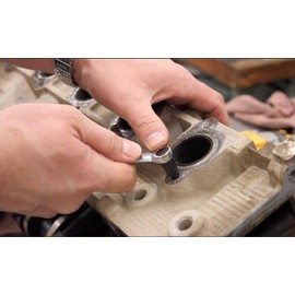 Lisle 61980 Strip Screw Extract, 10 Piece , Black