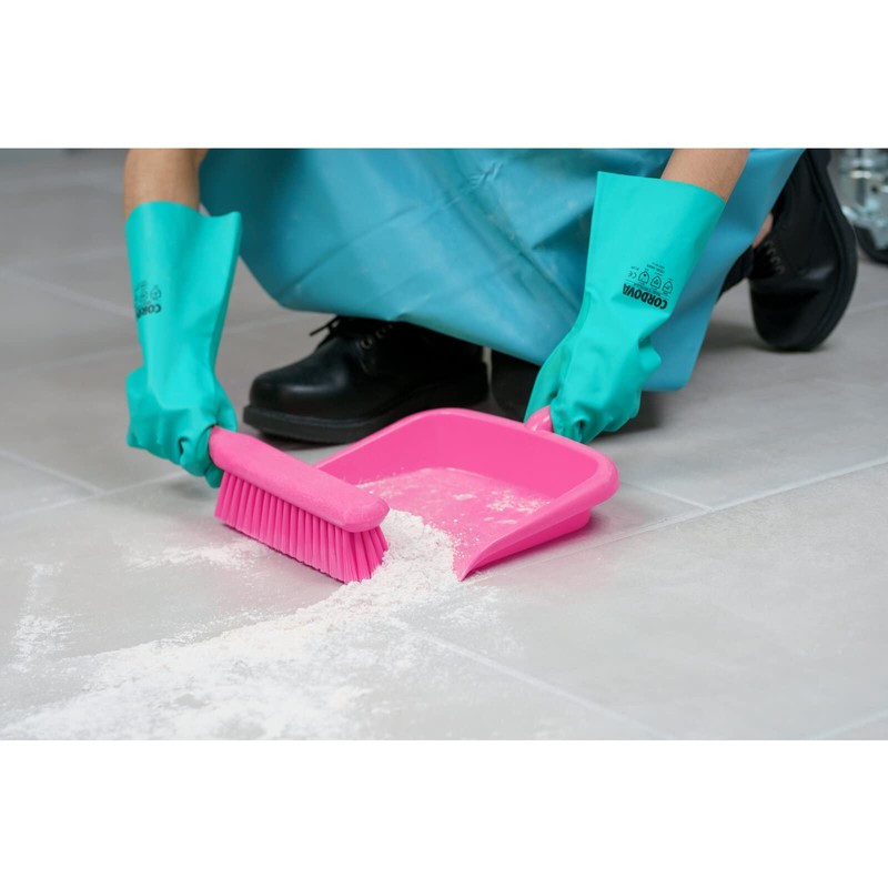 Sparta Large Handheld Dustpan with Hanging Hole, Heavy-Duty Plastic Dustpan