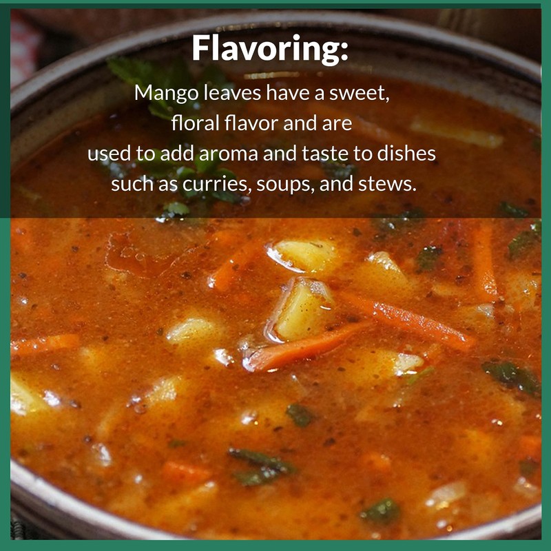 Akshit -Mango Leaves Tea, Hojas De Mango, 2.6oz, Pure Dried