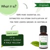 Generic Rosemary Essential Oil for Hair Growth, Face, Aromatherapy -