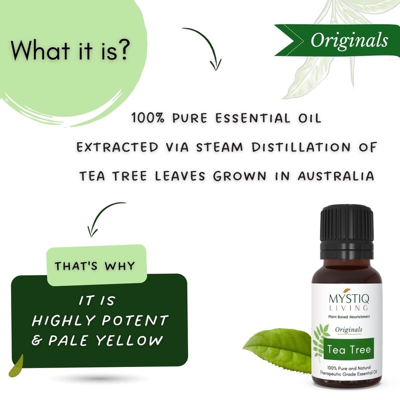 Generic Rosemary Essential Oil for Hair Growth, Face, Aromatherapy -