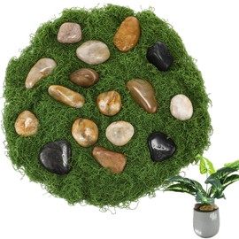 Solsew Fake Green Moss with River Rock for Plants, 7oz Faux Artificial Moss for Craft 4.4lbs Small Decorative Pebble for Planters Garden Decor Indoor Outdoor Wedding Vase Filler