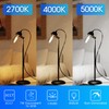 E ENERGETIC LIGHTING ST58/ST18, LED Filament Light Bulbs, 3CCT, 2700K/4000K/5000K,High