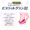 【第2類医薬品】ビスラットグランEX 防風通聖散錠 252錠