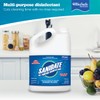 BioSafe Systems SaniDate® All Purpose Disinfectant, 1 Gallon, unscented
