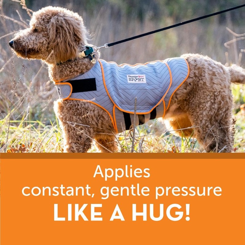 ThunderShirt for Dogs, Large, Platinum Sport - Dog Anxiety Relief