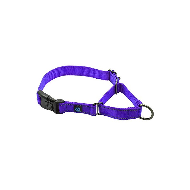 Max and Neo Nylon Martingale Collar - We Donate to