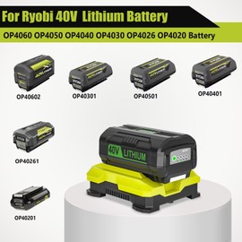 40V Charger for Ryobi 40V Battery,OP406A OP404 OP401 Battery Charger for Ryobi OP40602 OP40601 OP4050 OP40501 OP4050A OP4040 OP40401 OP4030 OP40301 OP40201 OP4026 OP40261 Charger