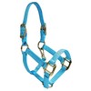 Intrepid International Nylon Miniature Horse Halter, Light Blue, Large