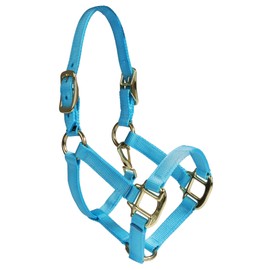 Intrepid International Nylon Miniature Horse Halter, Light Blue, Large