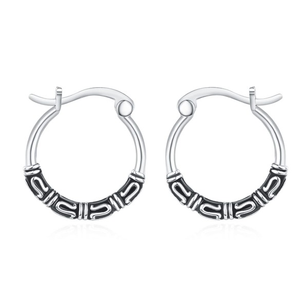 TANGPOET Hoop Earring for Women S925 Sterling Silver Hypoallergenic Earrings
