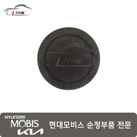 Hyundai Mobis Plug (per unit) 17313 45000 / 플러그 (1개당) 17313 45000