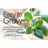 Gardeners Basics, Sage Seeds for Planting Heirloom, Non-GMO Herb Variety-