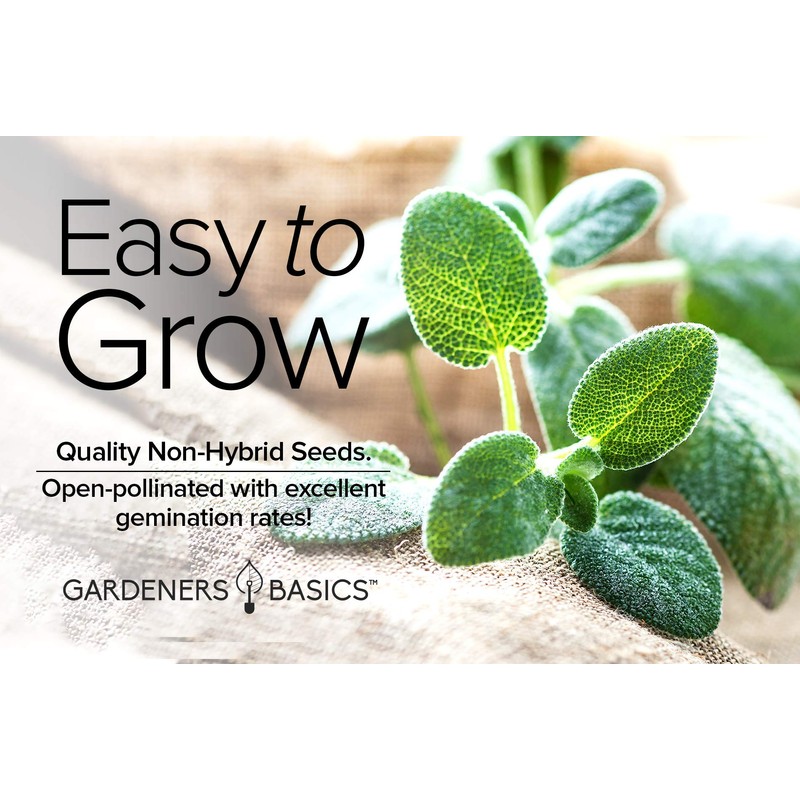 Gardeners Basics, Sage Seeds for Planting Heirloom, Non-GMO Herb Variety-