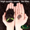 Beauty Beyond Belief Premium Drought Resistant Wildflower Seeds Bulk Mix
